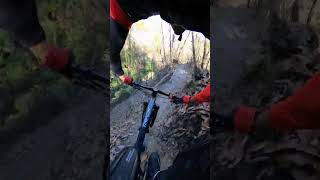 MTB Trail del nespolo  Monte san Pietro Full run [upl. by Eden]