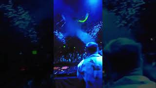 Curiosity sparked Thong Song at epic electronic music party [upl. by Fannie]