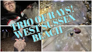 Fishing For Rays West Sussex Beach PB Undulate  UK Shore Fishing [upl. by Romeon]