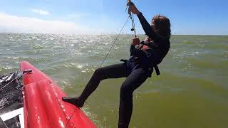 kanukasselTV WINDSURFEN amp Katsegeln in MAKKUM am Ijsselmeer 2023 Clip 5  KatSegeln mit Seehunden [upl. by Felicle]