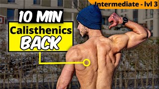 10 min Calisthenics BACK WORKOUT  Follow Along [upl. by Reppart]