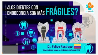 ¿Los dientes con Endodoncia son más frágiles  Tu Salud Guía [upl. by Koral]