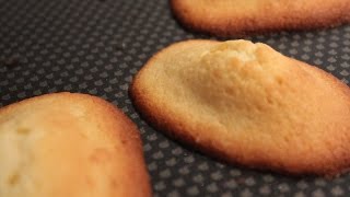 recette des madeleines maison [upl. by Wentworth993]