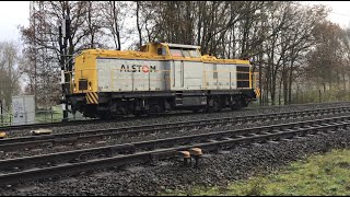 Alstom 203 101 at Blerick the Netherlands 7122023 Trainspotting Video 🎥👍👍👍👍👍🚂 Railfanman spots [upl. by Foy]