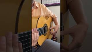 PicadoIndici guitar fingerstyleguitar flamencoguitarist [upl. by Trauner]