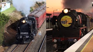 Steamrail Victoria 2024 ballarat steam shuttles featuring 707 ops quotthe Grainlanderquot [upl. by Maloy]