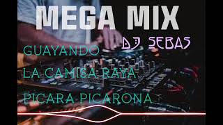 150 remix La Camisa Raya  Guayando  Pícara Picarona RMX DJ SM [upl. by Ahsiemat423]