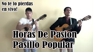 Horas De Pasion  Pasillos Populares  Hermanos Chamba [upl. by Aihsoj]