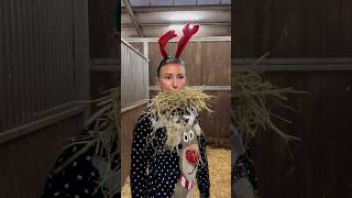 Pferdehofliebe  Schöne Feiertage 🎅🎄 pferdehofliebe froheweihnachten equestrian youtubeshorts [upl. by Dolores267]