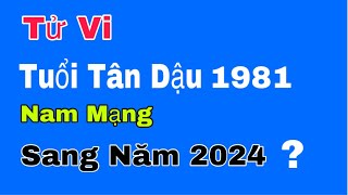 Tử vi tuổi Tân Dậu 1981 nam mạng bước sang năm 2024 sẽ như thế nào [upl. by Hsetih]