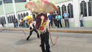 carnaval Papalotla 2024  barrio de Xaltipa culebra [upl. by Anuayek272]