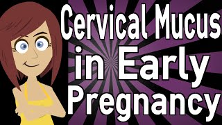 Cervical Mucus in Early Pregnancy [upl. by Dleifyar208]