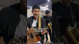 Placoson🦥 𝑮𝒂𝒆𝒍 𝑨𝒓𝒛𝒂𝒈𝒂 Cover regionalmexicano corridostumbados music requintistas [upl. by Einittirb]