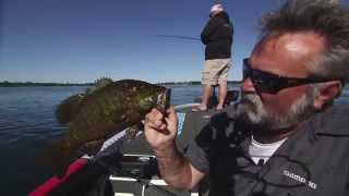 Current Busting Smallmouth Smashfest  Dave Mercers Facts of Fishing THE SHOW [upl. by Ilse]