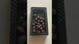 Chocolate from Singapore [upl. by Senga]