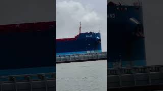 bulk carrier ship vessel foryou boat viralvideo shiphandling tugboat sailor navyship sho [upl. by Brew]