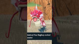 🌟Shiny Magikarp Evolved Into Shiny Gyarados 🌟 Pokémon Violet Shiny Walkthrough [upl. by Hakeber]