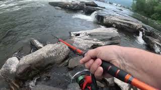 Catching Nice Catfish out of New River [upl. by Aenel]