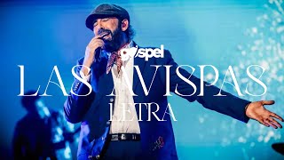 Juan Luis Guerra  Las Avispas Letra [upl. by Nelyaw]