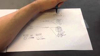 DNA and RNA Viruses Mnemonic for USMLE Step 1 [upl. by Airetak]