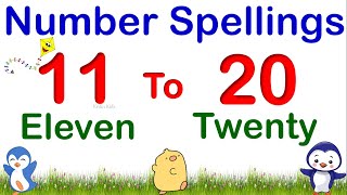 Number Names 11 to 20  11  20 Number Spellings  Eleven to Twenty Spelling  Number Names For Kids [upl. by Nickelsen]