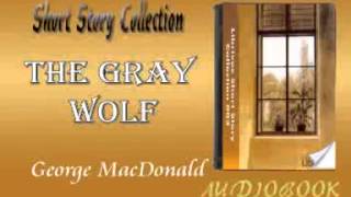 The Gray Wolf George MacDonald Audiobook Short Story [upl. by Ahseiyk]