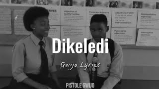 LYRICS Dikeledi Tsaka  Gwijo [upl. by Noir970]