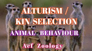 Alturism  Kin selection  Animal Behavior  BSC ZOOLOGY  UPSC ZOOLOGY  Rpsc Zoology  Neet [upl. by Bluefield945]