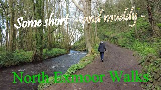 Some short north Exmoor walks [upl. by Nadine]