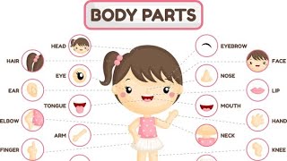 Learn English for kids  body parts  easy learn body parts in English for kids [upl. by Ativahs]