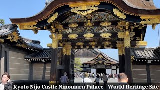 Kyoto Nijo Castle Ninomaru Palace  京都二条城二の丸御殿 [upl. by Eek]