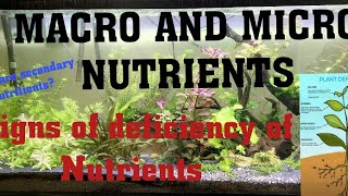 Macro and micronutrients in aquatic plantsSigns of Nutrients Deficiency in Plants macroandmicro [upl. by Jessey]