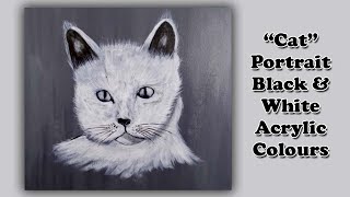 Black amp White Cat Portrait  Acrylic Painting Tutorial by Mateen [upl. by Alleroif188]