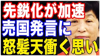 先鋭化する福島瑞穂！相変わらずの売国奴発言に怒髪天を衝く思い！ [upl. by Esiled]