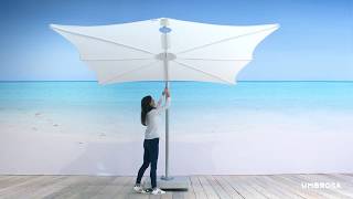 SPECTRA Umbrella by Umbrosa [upl. by Navy]