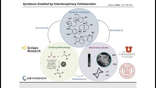 Synthesis Workshop Electrochemical Terpene Synthesis with Maximilian Palkowitz Episode 95 [upl. by Ecirtnahs]