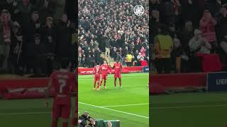 🇨🇴 Liverpool players celebrate Luis Diazs goal vs Leverkusen [upl. by Yttiy468]