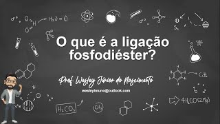 O que é a ligação fosfodiéster [upl. by Rao]