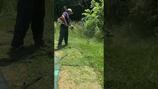 Tall grass 🆚 Stihl FS 131 R lawncare mowing [upl. by Ahseniuq]