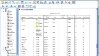S01E0415 SPSS Basics  Codebook [upl. by Augusto]