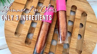 How To Make SHIMMER LIP GLOSS  3 INGREDIENTS ONLY DIY Recipe [upl. by Adrell]