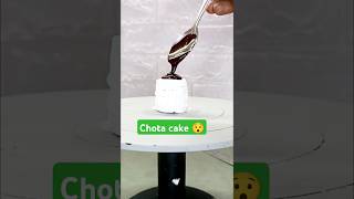 world smallest cake banaya🎂😱 cakedecorating viral shorts trandingshorts cake cakedesign [upl. by Leiruh]