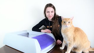 PetSafe ScoopFree Automatic Litter Box Review We Tested it For 2 Months [upl. by Ignacius]