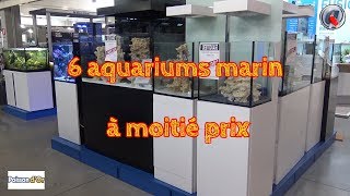 6 aquariums marin à moitié prix [upl. by Otrebile997]