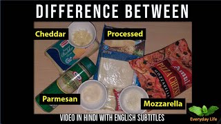 Difference bw Mozzarella Processed Cheddar amp Parmesan Cheese  चीज़ के प्रकार  Everyday LIfe 47 [upl. by Annim]