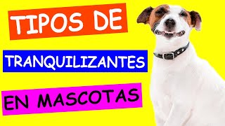 TIPOS de TRANQUILIZANTES para PERROS y GATOS [upl. by Ribble]