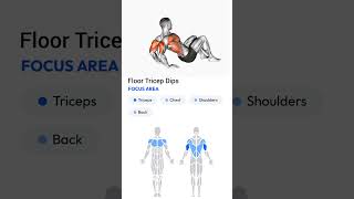 Floor Tricep Dips  Home work out [upl. by Navis]