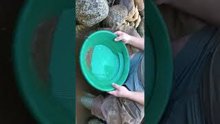 Evaluation of a Gravel bar on the WAM Wild Ammonoosuc River to Bank [upl. by Duester]