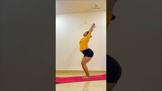 Utkatasana Paschimottanasana Crow Pose yogaurmi shortvideo shorts yogapose youtubeshorts yoga [upl. by Ecidnarb]