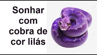 SONHAR COM COBRA DE COR LILÁS significado [upl. by Enedan]